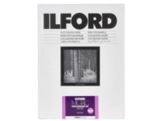 1x100 Ilford MG RC DL  1M 10,5x14,8