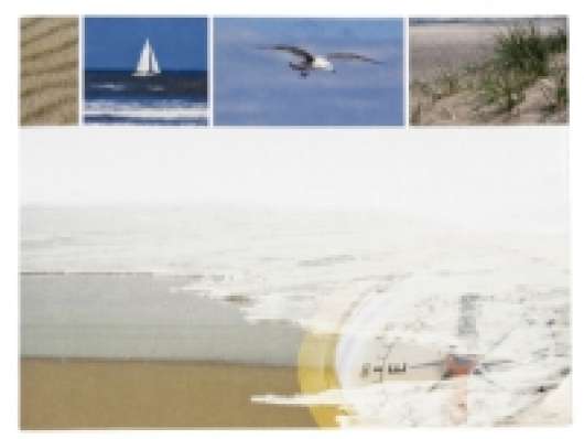1x25 Daiber  Beach/Sea   13x18 Portrait folders 13327