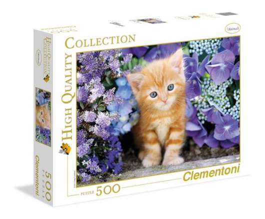 500 pcs High Quality Collection GINGER CAT