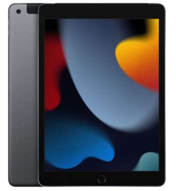 Apple iPad 9th gen. / 10.2" / 256GB / WiFi / Cellular - Space Grey
