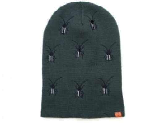 Art of Polo Cap Beetle sounds in reed olive (cz16585)