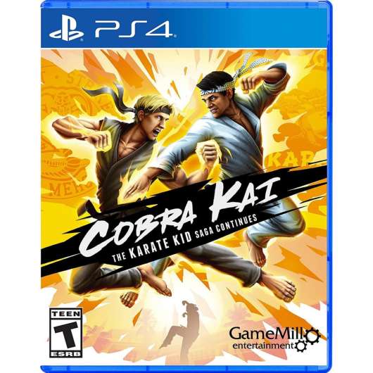 Cobra Kai Karate Kid Saga Continues
