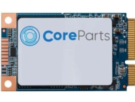 CoreParts CP-SSD-M2-NVME-M-2242-256, 256 GB