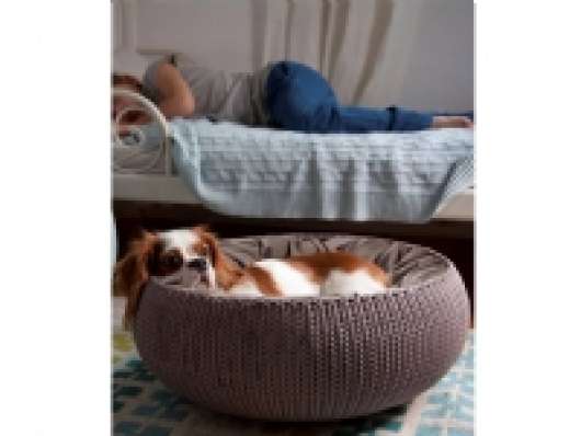 Curver Bed for pets Knit beige
