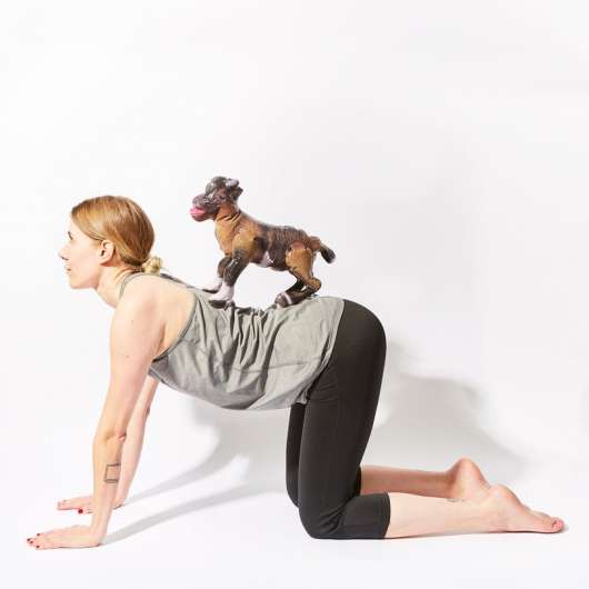 Goat Yoga Party Game