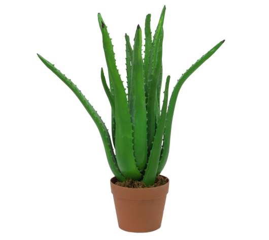 Konstgjorda Aloe Vera-växter, 63 cm